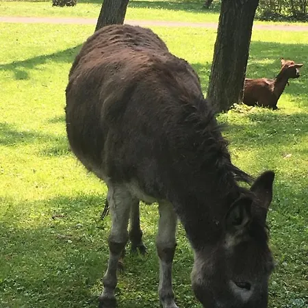 Parco Delle Sequoie Bed & Breakfast *